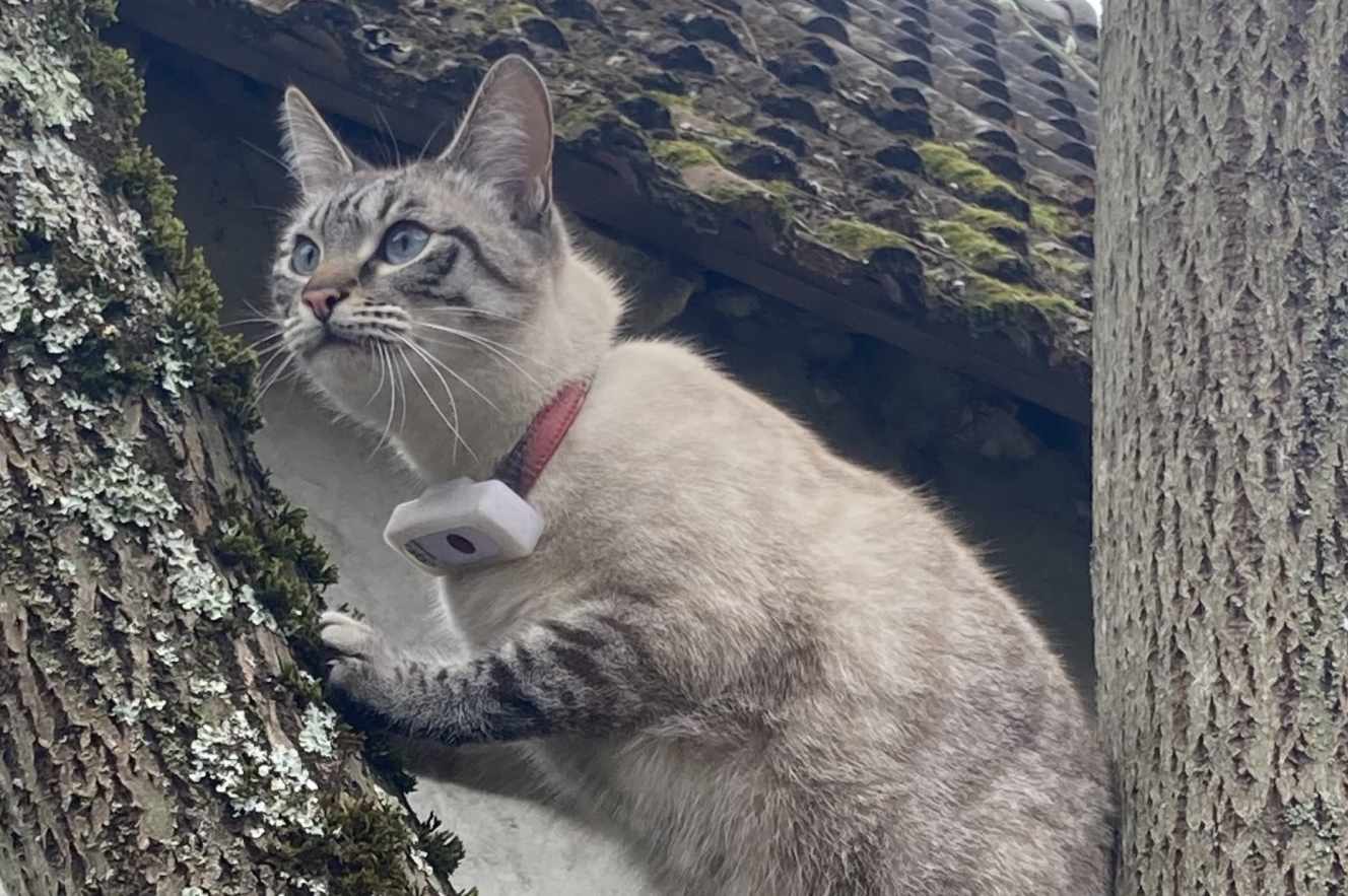 photo from lemonde.fr